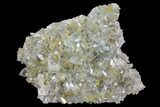 Plate Of Gemmy, Chisel Tipped Barite Crystals - Mexico #84430-1